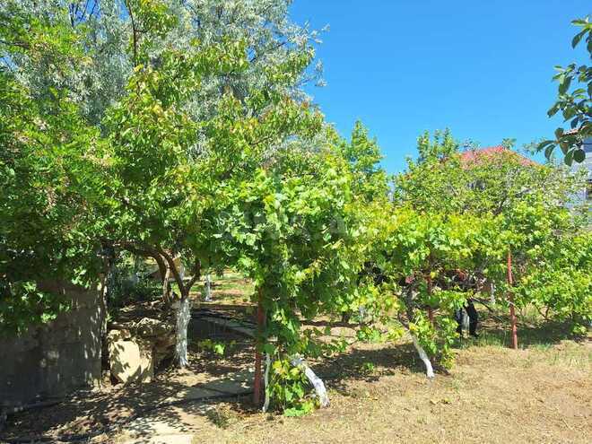 Satılır 6 otaqlı həyət evi/bağ evi 400 m², Badamdar q., photo 5 from 27