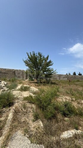 Продаётся  участок 11.5 сот, пос. Нардаран, photo 6 from 13