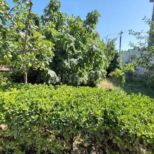 Продаётся  участок 30 сот, пос. Бузовна, photo 6 from 8