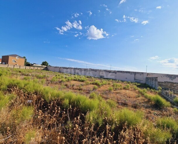 Продаётся  участок 36 сот, пос. Шаган, photo 4 from 11