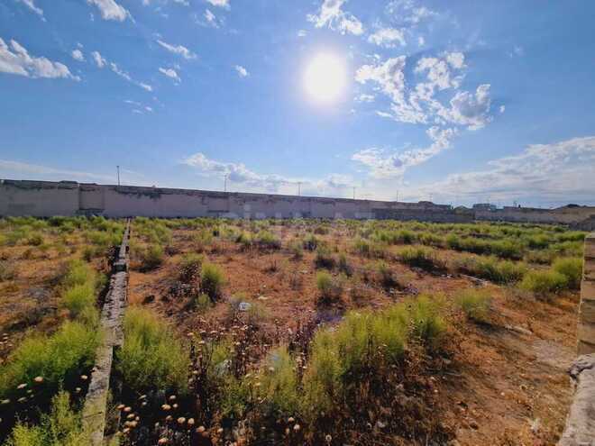 Продаётся  участок 36 сот, пос. Шаган, photo 3 from 11