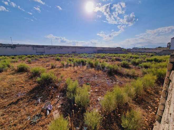 Продаётся  участок 36 сот, пос. Шаган, photo 8 from 11