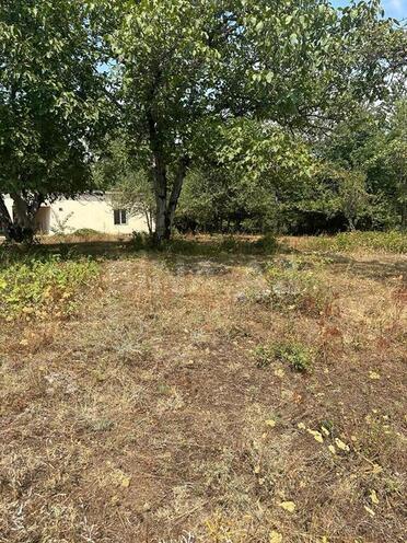 Продаётся  участок 500 сот, photo 6 from 10