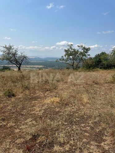 Продаётся  участок 500 сот, photo 8 from 10