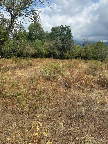 Продаётся  участок 500 сот, photo 7 from 10