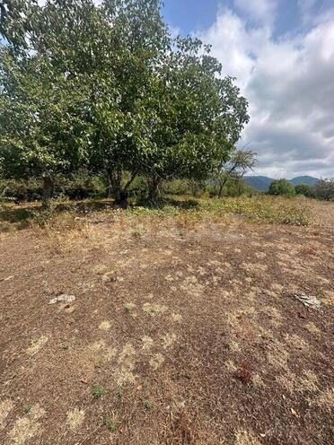 Продаётся  участок 500 сот, photo 4 from 10