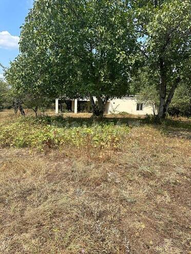 Продаётся  участок 500 сот, photo 1 from 10