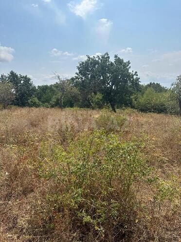 Продаётся  участок 500 сот, photo 9 from 10