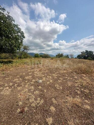 Продаётся  участок 500 сот, photo 3 from 10