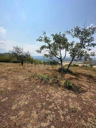 Продаётся  участок 500 сот, photo 5 from 10