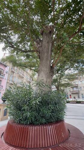 Продаётся 3-комн. вторичка 90 м², м. Ичеришехер, photo 5 from 23