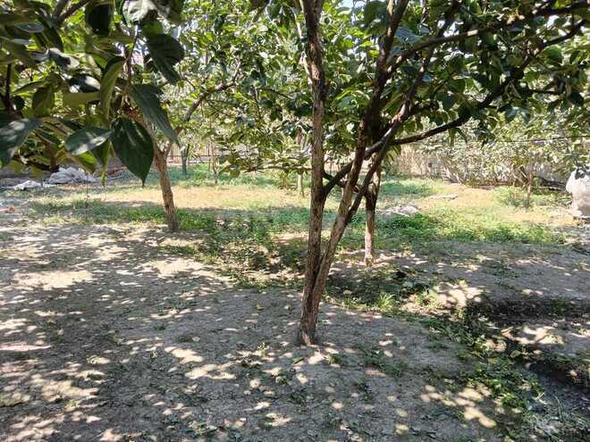 Продаётся 1-комн. дом/дача 100 м², photo 10 from 22