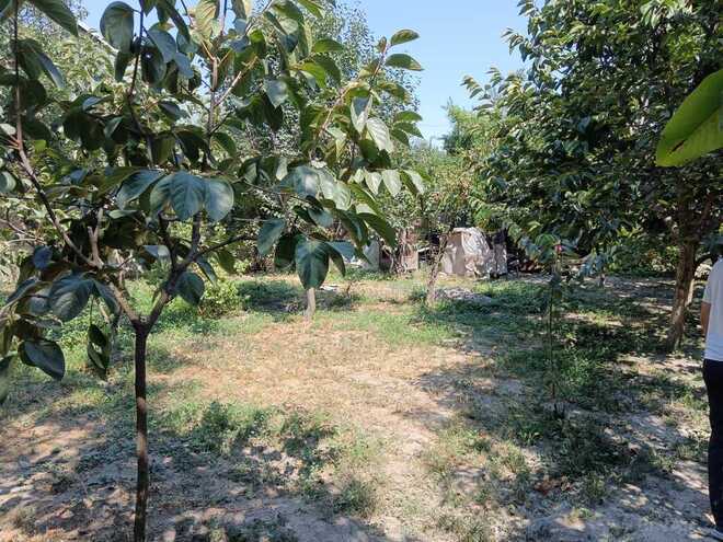 Продаётся 1-комн. дом/дача 100 м², photo 6 from 22