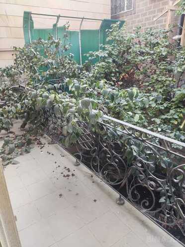 Продаётся 7-комн. дом/дача 500 м², м. Гянджлик, photo 28 from 30