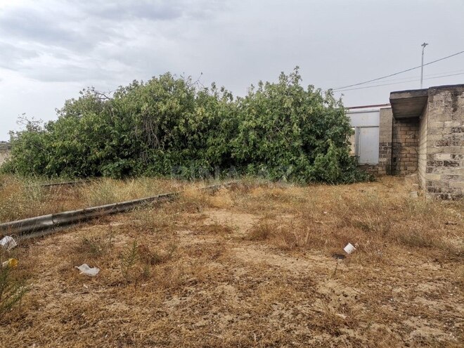 Продаётся  участок 50 сот, пос. Нардаран, photo 8 from 12