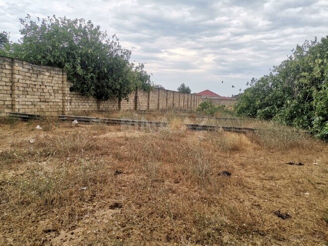 Продаётся  участок 50 сот, пос. Нардаран, photo 11 from 12