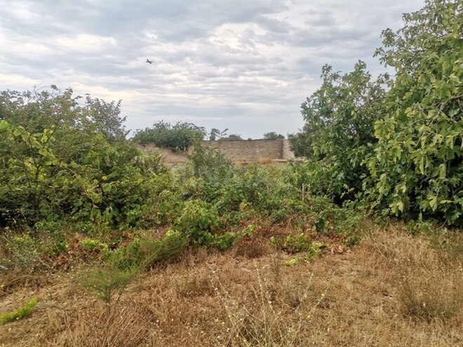 Продаётся  участок 50 сот, пос. Нардаран, photo 6 from 12