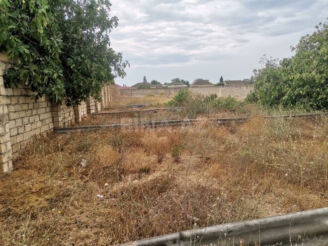 Продаётся  участок 50 сот, пос. Нардаран, photo 5 from 12