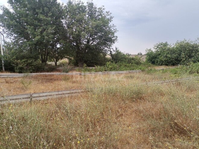 Продаётся  участок 50 сот, пос. Нардаран, photo 7 from 12