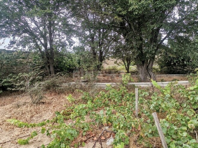 Продаётся  участок 50 сот, пос. Нардаран, photo 4 from 12