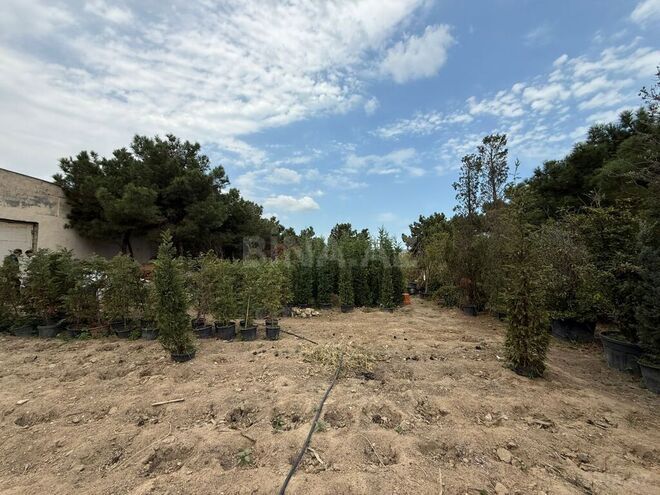 Satılır  torpaq 15.3 sot, Buzovna q., photo 7 from 11