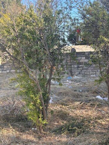 Satılır  torpaq 2 sot, Novxanı q., photo 4 from 7