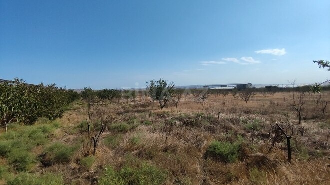 Продаётся  объект 4 000 м², пос. Новханы, photo 14 from 32