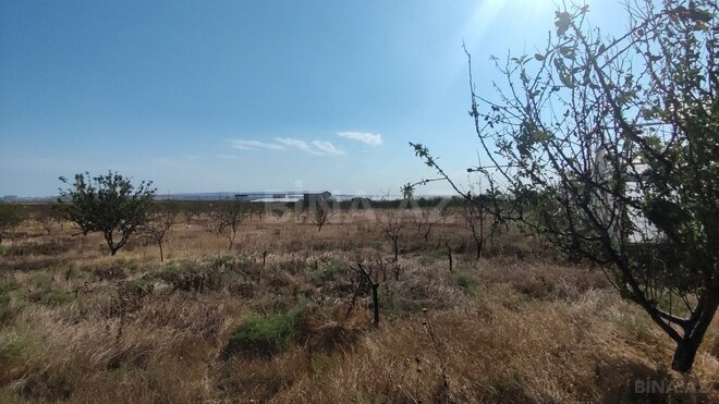 Продаётся  объект 4 000 м², пос. Новханы, photo 15 from 32