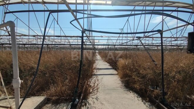 Продаётся  объект 4 000 м², пос. Новханы, photo 12 from 32