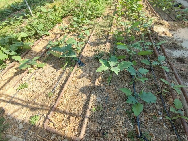 Продаётся  объект 4 000 м², пос. Новханы, photo 9 from 32