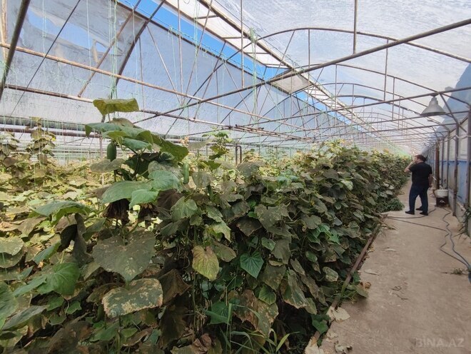 Продаётся  объект 4 000 м², пос. Новханы, photo 8 from 32