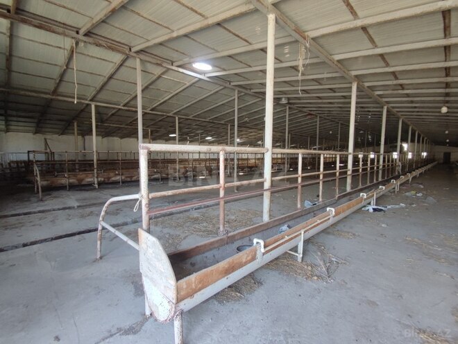 Продаётся  объект 4 000 м², пос. Новханы, photo 3 from 32