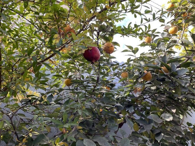 Satılır 6 otaqlı həyət evi/bağ evi 165 m², Əhmədli m., photo 7 from 31