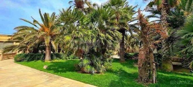 İcarəyə verilir 8 otaqlı həyət evi/bağ evi 700 m², Buzovna q., photo 14 from 32