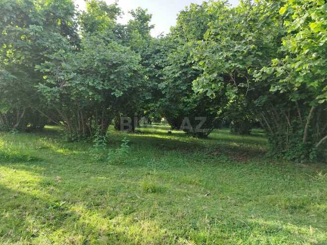 Satılır 4 otaqlı həyət evi/bağ evi 110.2 m², photo 8 from 9