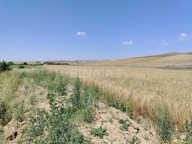 Продаётся  участок 13 500 сот, photo 3 from 6