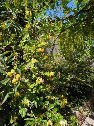 Продаётся 4-комн. дом/дача 130 м², пос. Фатмаи, photo 10 from 24