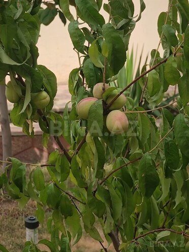 Satılır 6 otaqlı həyət evi/bağ evi 270 m², Bakıxanov q., photo 10 from 32