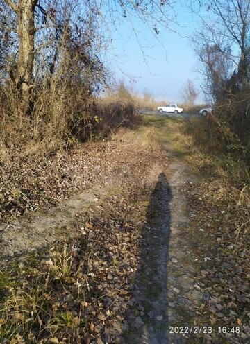 Продаётся  участок 1 300 сот, Хачмазский р., photo 6 from 7