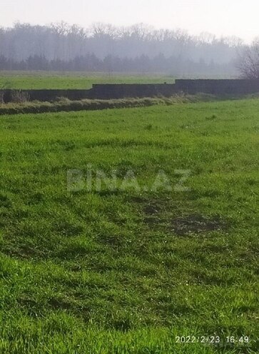 Продаётся  участок 1 300 сот, Хачмазский р., photo 3 from 7