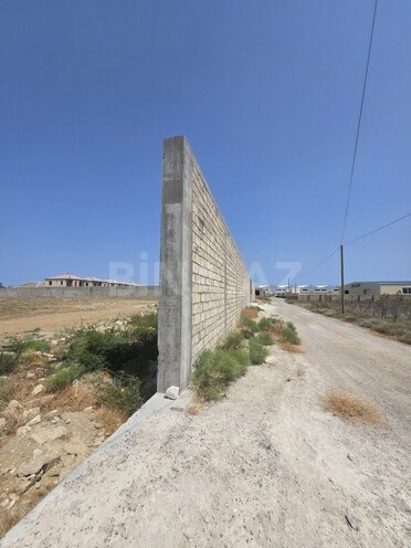 Продаётся  участок 84 сот, пос. Гала, photo 6 from 9