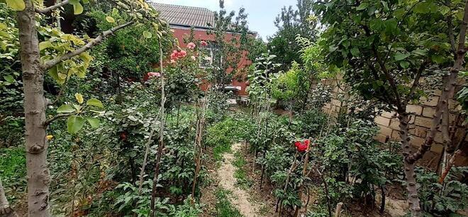 Satılır 4 otaqlı həyət evi/bağ evi 120 m², Biləcəri q., photo 11 from 20