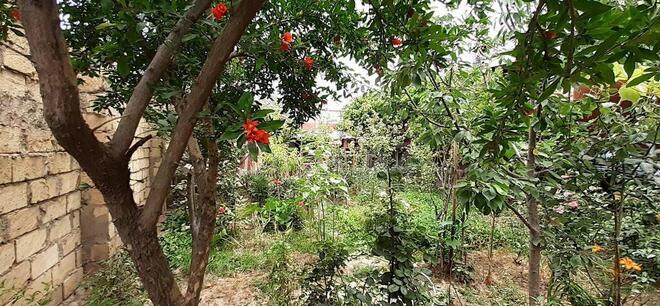 Satılır 4 otaqlı həyət evi/bağ evi 120 m², Biləcəri q., photo 17 from 20