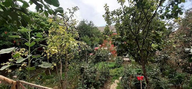 Satılır 4 otaqlı həyət evi/bağ evi 120 m², Biləcəri q., photo 9 from 20