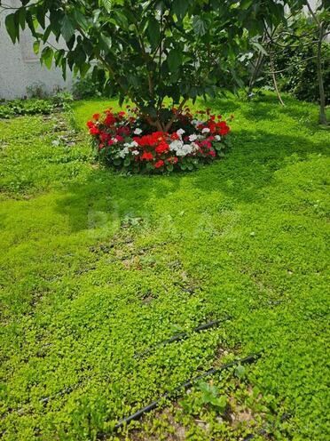İcarəyə verilir 4 otaqlı həyət evi/bağ evi 200 m², Nardaran q., photo 10 from 30