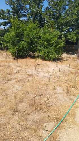 Сдаётся 2-комн. дом/дача 65 м², пос. Говсан, photo 5 from 15