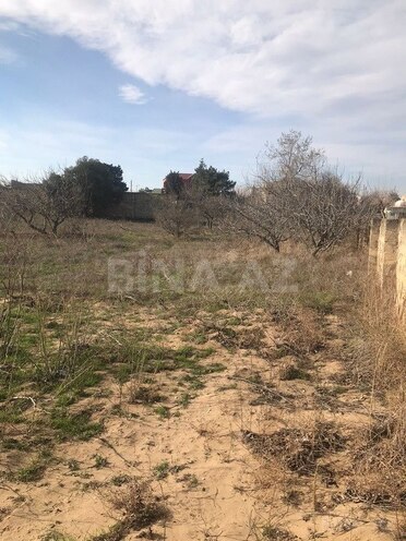 Satılır  torpaq 32 sot, Nardaran q., photo 6 from 10