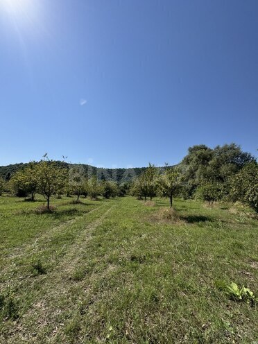 Satılır  torpaq 105 sot, photo 7 from 10