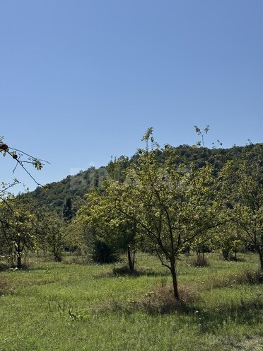 Satılır  torpaq 105 sot, photo 9 from 10