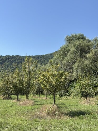 Satılır  torpaq 105 sot, photo 8 from 10